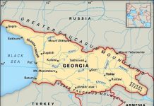 Fostul președinte Mihail Saakașvili în cușcă, iar susținătorii săi în stradă!