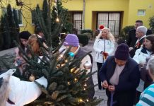 Săptămâna Crăciunului la APP Bihor