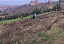 Moștenirea lui Bolojan: Ciuperca prăbușindu-se