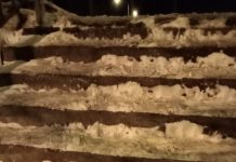 Nesimțirea administrației bolojeniste