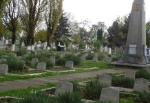 Cinstirea veteranilor de ziua lor