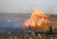 Incendierea miriștilor se sancționează cu până la 100.000 de lei!