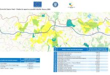 Drumul Expres Oradea – Arad va lega și România de Ungaria