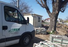 După 14 ani de Bolojan, Oradea are cu 40.000 de arbori mai puțin!