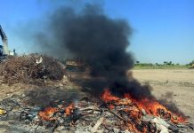 Angajații unei firme din Oradea, prinși în flagrant când dădeau foc unor gunoaie