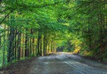 Drumul Apusenilor, între barajul Leșu și Stâna de Vale este în curs de modernizare prin fonduri europene