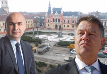 Grădinarul lui Iohannis și Bolojan lasă Oradea fără copaci