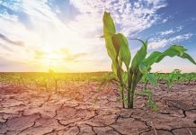 Sunt localități și în Bihor unde primarii au luat decizia restricționării furnizării apei potabile