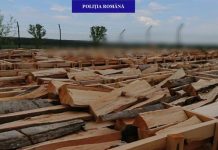 600 mc de material lemnos confiscat după o razie la depozitele de cherestea din zonele Beiuș și Ștei