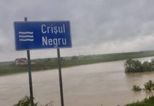 Cod portocaliu de inundații în bazinul hidrografic Crișul negru din Bihor