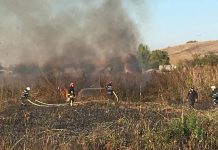 Inconștiență incredibilă, 21 de incendii, 87 de hectare de vegetație uscată arse!