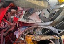 România, în continuare considerată lada de gunoi a Europei!