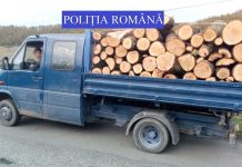 Peste 71 de metri cubi de material lemnos fără forme legale, confiscați de polițiștii bihoreni