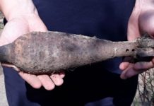 Un bihorean a găsit o bombă de artilerie în albia unui râu din comuna Bunteşti