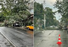 Furtuna de sâmbătă seara a făcut ravagii în județ iar în Oradea au căzut mai mulți copaci