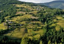 Zona Vadu Crișului, unul dintre cele mai frumoase locuri care merită descoperite