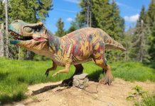 Dino Park la Stâna de Vale