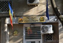 DNA Oradea a reținut un pădurar și un consilier al Gărzii Forestiere pentru dare și luare de mită!