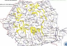 De la caniculă la inundații în țară dar și în bazinul Crișurilor