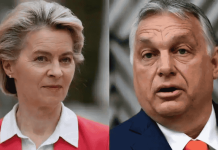 Fost ministru de Externe: Nu a ieșit numai Ungaria din rând. A ieșit Spania din rând, iese Italia din rând, Grecia. Și vor face aranjamente sfidând practic logica de funcționare, aia profundă, a UE