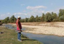 16 cursuri de apă au secat în spațiul hidrografic Crișuri