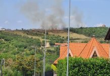 Un incendiu de vegetația a izbucnit în Oradea, pe dealuri, duminică la amiază
