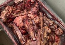 După litoral, a venit rândul Văii Prahovei: amenzi de 70 mii de lei pentru mizerie și marfă expirată