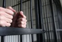 Poliţiştii l-au reţinut pe bărbatul care în luna aprilie a ucis un câine într-o pădure din Sâniob