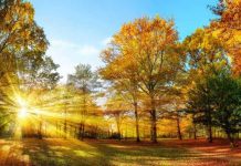 Prognoza de vreme pentru următoarele patru săptămâni, până în data de 10 octombrie