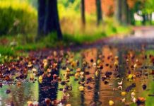 Cum va fi vremea în următoarele două săptămâni în Bihor