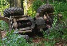 Doi bărbați, omorâți de un utilaj forestier în pădure la Lazuri de Roșia