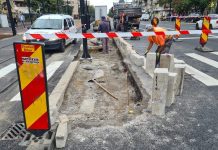 S-a găsit o soluție pentru zebra periculoasă din Nufărului