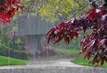 Ce ne așteaptă joi și vineri din punct de vedere al vremii