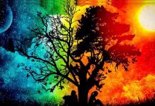 23 septembrie: Echinocțiul de toamnă 2022, momentul în care ziua este egală cu noaptea