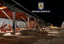 Percheziţii în Bihor și în alte județe într-un dosar privind infracţiuni silvice şi economice