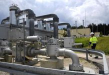 Germania a naționalizat cel mai mare importator de gaze naturale al țării