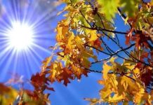 Cum va fi vremea în Crișana în următoarele două săptămâni