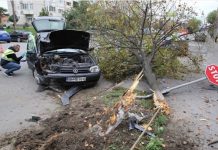 Un copac nu a avut nici o șansă în fața unui șofer vitezoman și băut