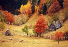 Prognoza meteo pentru următoarele două săptămâni în Bihor