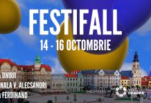 Nume grele și cu onorarii consistente plătite de la bugetul local vin să cânte la Oradea FestiFall