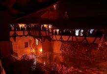 Elon Musk și cei 300 de invitați s-au lăsat pătrunși de spiritul lui Dracula