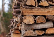 Guvernul plafonează prețul lemnului de foc la 400 de lei pentru un metru cub