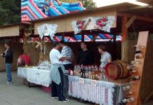 Festivalul Vinului va avea loc sâmbătă și duminică, 8-9 octombrie, în Parcul Bălcescu din Oradea