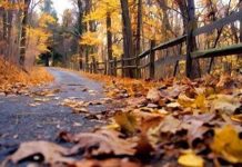 Vremea se schimbă radical