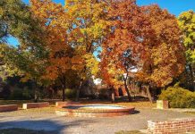 Vremea la final de octombrie în Crișana