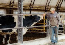 Sprijin financiar pentru crescătorii de animale, anunţă APIA