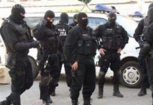 Percheziții de amploare, inclusiv în Bihor, pentru destructurarea unei grupări infracţionale organizate