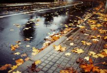 Cum va fi vremea în următoarele patru săptămâni