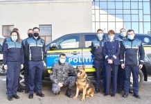 Poliția Animalelor a constatat nereguli la Adăpostul Grivei
