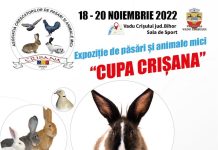 Expoziție de păsări şi animale mici